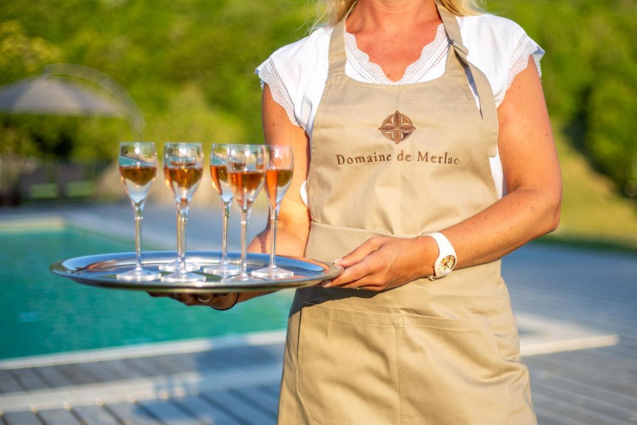 Domaine De Merlac Rieussec Zewnętrze zdjęcie