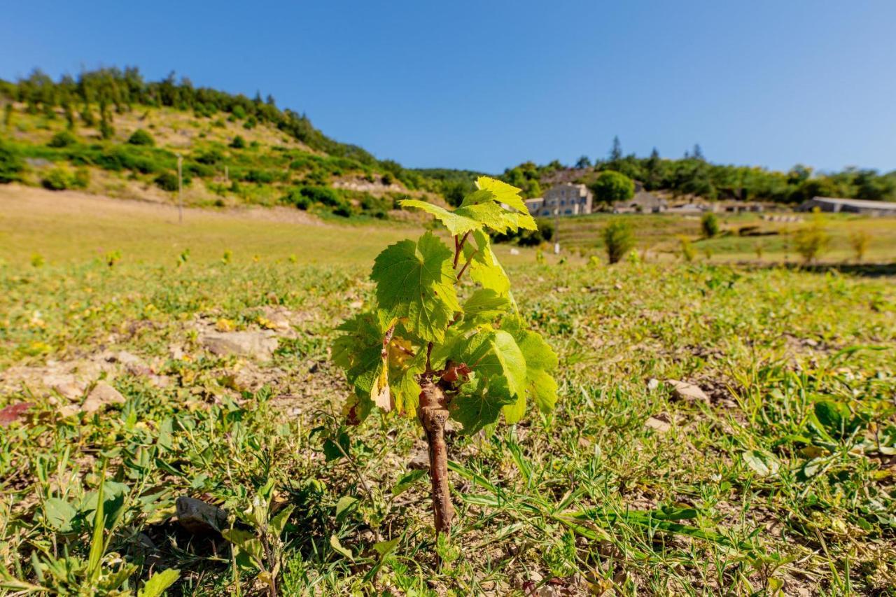 Domaine De Merlac Rieussec Zewnętrze zdjęcie